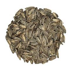 تخمه آفتابگردان کانادایی شور سوپر